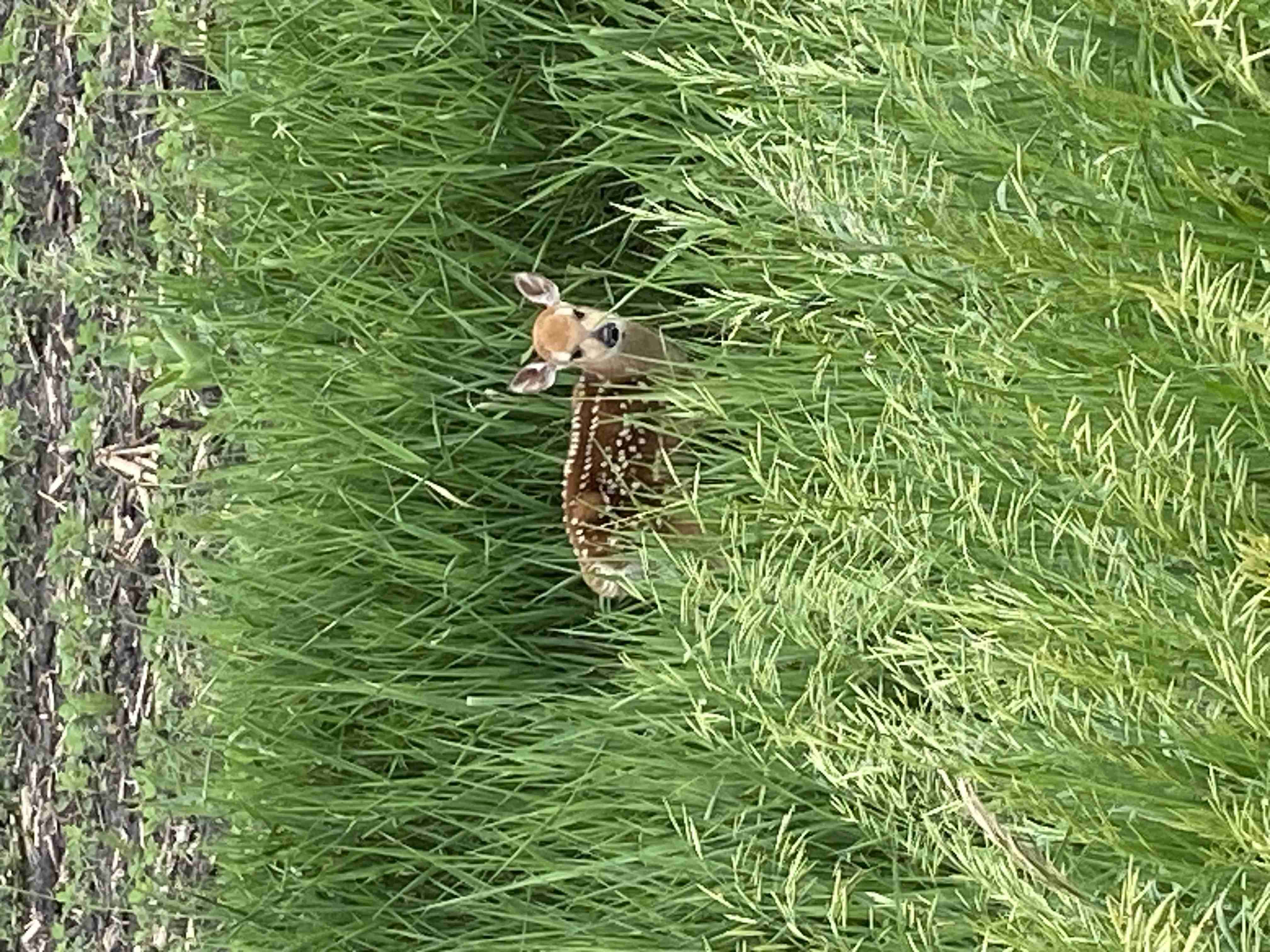 Sally Walker Wins at Glenville Legion Free Poker Network(FPN)